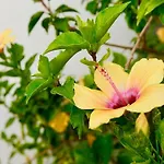 Prázdninový dům Blue Portofino Cristianos, Pool